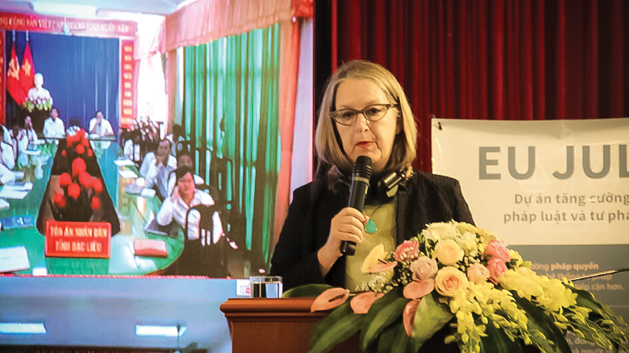 Photo of Justice Ryan speaking to workshop delegates in Vietnam.